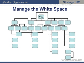 Manage the White Space CEO 