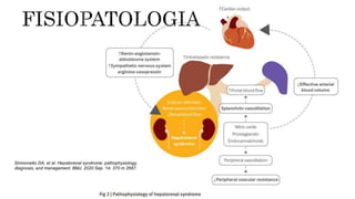 2023/6/6
Simnonetto DA, et al. Hepatorenal syndrome: pathophysiology,
diagnosis, and management. BMJ. 2020 Sep. 14; 370 m 2687.
 