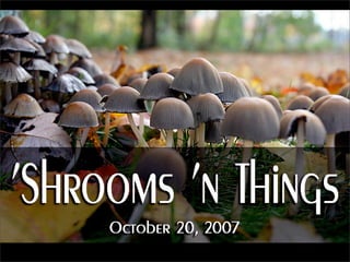 ‘Shrooms ‘n Things          October 20, 2007