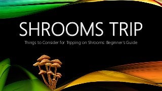 SHROOMS TRIPThings to Consider for Tripping on Shrooms: Beginner’s Guide
 