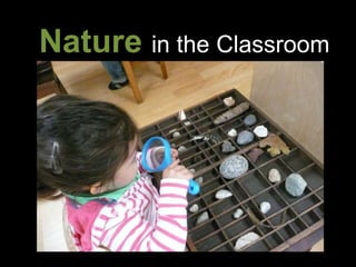 Nature in the Classroom 
 