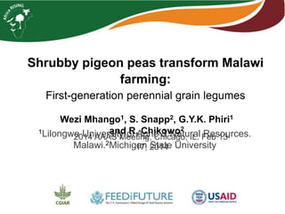 Shrubby pigeon peas transform Malawi farming: 
First-generation perennial grain legumes 
Wezi Mhango1, S. Snapp2, G.Y.K. Phiri1and R. Chikowo2 
1Lilongwe University of Agric & Natural Resources. Malawi.2Michigan State University 
2014 AAAS Meeting, Chicago, IL. Feb 13-17, 2014  