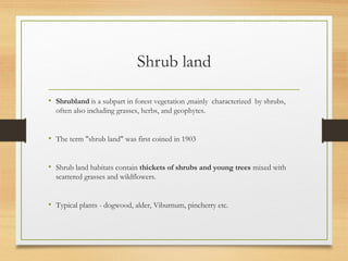 Shrub land
• Shrubland is a subpart in forest vegetation ,mainly  characterized  by shrubs,
often also including grasses, herbs, and geophytes.
• The term "shrub land" was first coined in 1903
• Shrub land habitats contain thickets of shrubs and young trees mixed with
scattered grasses and wildflowers.
• Typical plants - dogwood, alder, Viburnum, pincherry etc.
 
