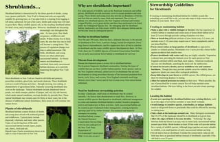 Why are shrublands important?                                                 Stewardship Guidelines
Shrublands...                                                                                                                                                  for Shrublands
                                                                                 For some species of wildlife, such as the American woodcock and ruffed
Shrubland habitat is characterized by the dense growth of shrubs, young          grouse, shrublands provide necessary cover to escape predators and raise
trees, grasses and herbs. New York’s climate and soils are especially            young. These shrubs and young trees also provide an abundance of berries      If creating or maintaining shrubland habitat for wildlife sounds like
suitable for growing trees, so if an open ﬁeld or a clearing from logging is     and fruit that are eaten by many birds and mammals. Due to loss of            something you would like to do, you can take steps to help conserve these
                                                                                 habitat, two shrubland species, the New England cottontail and Golden-        habitats on your lands. Here’s how:
left alone, unmowed, for just a few years, shrubs and young trees will start
                                                                                 winged Warbler, are in great decline and have been petitioned to be listed
to grow there. Many wildlife species rely on the resulting shrubland habitat     under the Endangered Species Act. By managing land for shrubland
for food, cover, and a breeding area. However, shrublands are becoming           habitat, landowners can help ensure wildlife have adequate habitat and do
                                                                                                                                                               Creating or maintaining habitat
                                          increasingly rare throughout the       not become listed as endangered species.                                      Make a plan with a wildlife biologist or forester who has experience in
                                          state. As trees grow, they shade                                                                                       wildlife habitat to maintain and create areas of dense shrub habitat (of at
                                          out grasses, wildﬂowers and                                                                                            least 2-5 acres) through periodic cutting of patches over time.
                                                                                 Decline in shrubland habitat
                                          shrubs. Within twenty-ﬁve to thirty                                                                                  Mow or brush-hog different sections of your forest every 3-5 years, cut
                                                                                 Over the past 100 years, there has been a dramatic decrease in the amount
                                          years, the area that was once a ﬁeld                                                                                   sections every 5-10 years (may require use of heavy equipment), and/or
                                                                                 of shrubland in New York. Land-use change, human development, fewer
                                          will become a young forest. This                                                                                       use prescribed ﬁre.
                                                                                 large beaver impoundments, and ﬁre suppression have all led to a decline
                                          process of vegetation change over                                                                                    Focus conservation on large patches of shrublands as opposed to
                                                                                 in shrublands and the many wildlife species that depend on them. In New
                                          time is called succession. Old                                                                                         smaller or isolated patches. Shrublands over 5 acres provide a better buffer
                                                                                 York, there are 33 wildlife Species of Greatest Conservation Need that
                                          ﬁelds, shrublands, and young                                                                                           against predation than smaller ones.
                                                                                 rely on early successional forest habitat or shrublands for survival.
                                          forests are often called early                                                                                       Protect shrublands with wetter soil; they are highly valuable. Vegetation
                                          successional habitats. As forests                                                                                      is denser here, providing the thickest cover for such species as New
                                          mature and disturbance is              Threats from development                                                        England cottontail rabbits and black racer snakes. American woodcock
                                          restricted, these early successional   Human development poses a severe risk to shrubland habitats.                    also use wet shrublands, searching the moist soil for earthworms.
                                          habitats decrease, as is currently     Development fragments shrubland communities, limiting the types of            Control for invasive shrubs, such as multiﬂora rose and common
                                          happening throughout New York          wildlife that can use these smaller habitat patches. Some species, such as      buckhorn. Though they may provide suitable cover for wildlife, these
                                          State.                                 the New England cottontail, cannot survive in shrublands that are near          aggressive plants can cause other ecological problems.
                                                                                 development or along powerlines because of the increased predation from       Keep fallen logs in your forest as wildlife species, like ruffed grouse, use
Most shrublands in New York are found in old ﬁelds and pastures,                 hawks, owls, foxes, and coyotes. New England cottontails need large             them for drumming displays in mating.
powerline corridors, gravel pits, and recent clearcuts. These shrublands         thickets (more than 5 acres) and do best in areas away from dense human       Allow for natural processes to return on their own. Where possible, the
exist as a result of human activities—through mowing, tree cutting, or           settlement.                                                                     use of prescribed ﬁre to mimic natural fire will help maintain some
abandonment of agricultural ﬁelds. Naturally-occurring shrublands also                                                                                           shrubland habitats. Old trees falling in the forest can also create openings
exist on the landscape. Natural shrublands include abandoned beaver                                                                                              for wildlife.
                                                                                 Need for landowner stewardship activities
ponds, wet shrub swamps, patches of juniper, and very dry oak barrens,
                                                                                 In today’s landscape, small areas of shrublands may be created
which under natural conditions, are kept shrubby by periodic ﬁres. These                                                                                       Locating the habitat
                                                                                 naturally—by beaver dam abandonment or small ﬁres. However, to
natural shrublands may remain open for thirty or more years, but in the                                                                                        Locate new openings for shrubland habitat near existing thickets, such
                                                                                 sustain wildlife species that depend on shrublands, additional management
absence of additional natural disturbance, these areas too will continue into                                                                                    as on the edges of powerline corridors or near shrub wetlands.
                                                                                 to create and maintain shrubland habitat is needed. Incentive programs
mature forest.                                                                                                                                                 Avoid damage to sensitive species, waterbodies, or unique habitats
                                                                                 exist to aid landowners in these activities. Early successional habitat can
                                                                                 be created as part of planned timber management, creating temporary             (such as old growth forest or grasslands) that could be affected by mowing
Plants of shrublands
                                                                                 openings paid for by timber revenue. For technical and financial                or cutting trees.
Shrubland habitats contain thickets of shrubs
                                                                                 assistance in creating                                                        Take a look at the landscape around you. Many biologists recommend
and young trees mixed with scattered grasses
                                                                                 shrubland habitat, contact                                                      that 10-15% of the landscape should be in shrublands at a given time.
and wildﬂowers. Typical plants include
                                                                                 the Natural Resource                                                          Allow the edges of ﬁelds to become shrubby. “Softening” the edge
dogwood, viburnum, and many other species.
                                                                                 Conservation Service (http://                                                   between ﬁeld and forest is an easy way to create early successional habitat
Types of sun-loving trees of the early
                                                                                 www.ny.nrcs.usda.gov) or                                                        around open ﬁelds. Shrub borders at least 20 feet wide will provide habitat
successional habitat include aspen, poplar,
                                                                                 the New York State                                                              for a variety of wildlife species. Although larger patches are more valuable
oak, cherry, birch and ash.
Bigtooth Aspen, Populus grandidentata (shown on the                              Department of                                                                   to wildlife, even small patches of early successional habitat can help.
right), is a type of aspen native to New York.                                   Environmental Conservation                                                    Not all land is best as shrubland. Consider the conservation value an old
                                                                                 (http://www.dec.ny.gov).                                                        field may have as grassland habitat (instead of shrubland), especially if the
                                                                                                                                                                 old field is over 25 acres.
 
