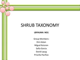 SHRUB TAXONOMY
    LBYHUMA NO1

    Group Members:
       Kim Asban
     Miguel Buluran
      Sofia Garcia
      David Layug
    Priscilla Pacifico
 