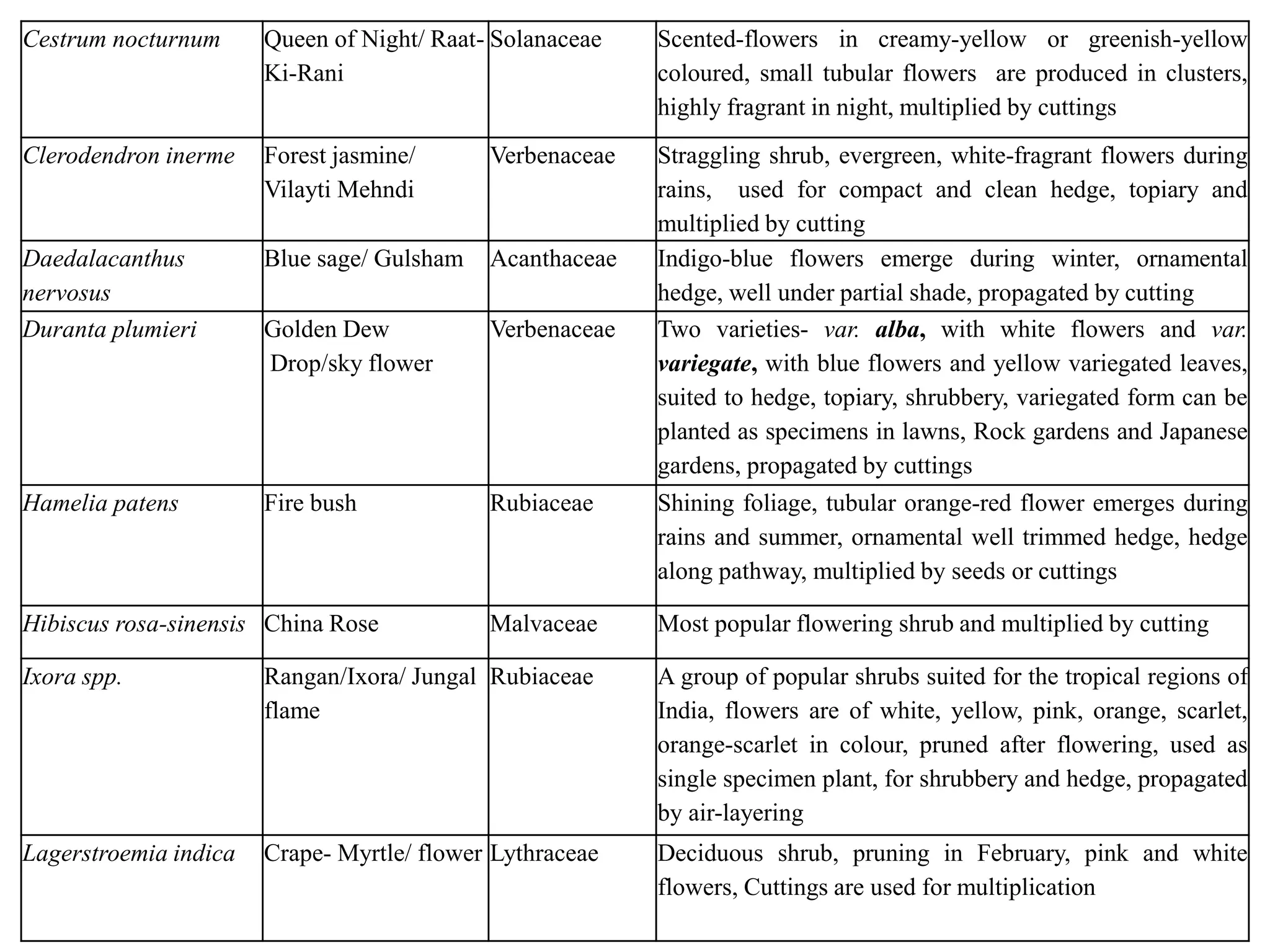 Cestrum nocturnum Queen of Night/ Raat-
Ki-Rani
Solanaceae Scented-flowers in creamy-yellow or greenish-yellow
coloured, small tubular flowers are produced in clusters,
highly fragrant in night, multiplied by cuttings
Clerodendron inerme Forest jasmine/
Vilayti Mehndi
Verbenaceae Straggling shrub, evergreen, white-fragrant flowers during
rains, used for compact and clean hedge, topiary and
multiplied by cutting
Daedalacanthus
nervosus
Blue sage/ Gulsham Acanthaceae Indigo-blue flowers emerge during winter, ornamental
hedge, well under partial shade, propagated by cutting
Duranta plumieri Golden Dew
Drop/sky flower
Verbenaceae Two varieties- var. alba, with white flowers and var.
variegate, with blue flowers and yellow variegated leaves,
suited to hedge, topiary, shrubbery, variegated form can be
planted as specimens in lawns, Rock gardens and Japanese
gardens, propagated by cuttings
Hamelia patens Fire bush Rubiaceae Shining foliage, tubular orange-red flower emerges during
rains and summer, ornamental well trimmed hedge, hedge
along pathway, multiplied by seeds or cuttings
Hibiscus rosa-sinensis China Rose Malvaceae Most popular flowering shrub and multiplied by cutting
Ixora spp. Rangan/Ixora/ Jungal
flame
Rubiaceae A group of popular shrubs suited for the tropical regions of
India, flowers are of white, yellow, pink, orange, scarlet,
orange-scarlet in colour, pruned after flowering, used as
single specimen plant, for shrubbery and hedge, propagated
by air-layering
Lagerstroemia indica Crape- Myrtle/ flower Lythraceae Deciduous shrub, pruning in February, pink and white
flowers, Cuttings are used for multiplication
 
