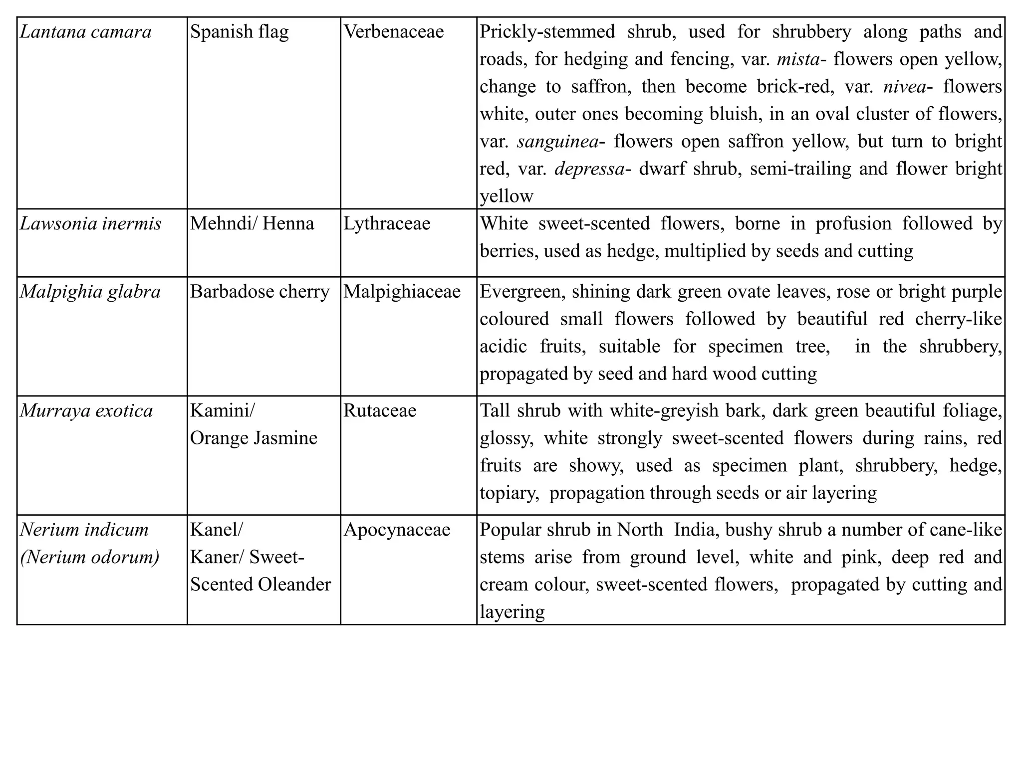 Lantana camara Spanish flag Verbenaceae Prickly-stemmed shrub, used for shrubbery along paths and
roads, for hedging and fencing, var. mista- flowers open yellow,
change to saffron, then become brick-red, var. nivea- flowers
white, outer ones becoming bluish, in an oval cluster of flowers,
var. sanguinea- flowers open saffron yellow, but turn to bright
red, var. depressa- dwarf shrub, semi-trailing and flower bright
yellow
Lawsonia inermis Mehndi/ Henna Lythraceae White sweet-scented flowers, borne in profusion followed by
berries, used as hedge, multiplied by seeds and cutting
Malpighia glabra Barbadose cherry Malpighiaceae Evergreen, shining dark green ovate leaves, rose or bright purple
coloured small flowers followed by beautiful red cherry-like
acidic fruits, suitable for specimen tree, in the shrubbery,
propagated by seed and hard wood cutting
Murraya exotica Kamini/
Orange Jasmine
Rutaceae Tall shrub with white-greyish bark, dark green beautiful foliage,
glossy, white strongly sweet-scented flowers during rains, red
fruits are showy, used as specimen plant, shrubbery, hedge,
topiary, propagation through seeds or air layering
Nerium indicum
(Nerium odorum)
Kanel/
Kaner/ Sweet-
Scented Oleander
Apocynaceae Popular shrub in North India, bushy shrub a number of cane-like
stems arise from ground level, white and pink, deep red and
cream colour, sweet-scented flowers, propagated by cutting and
layering
 