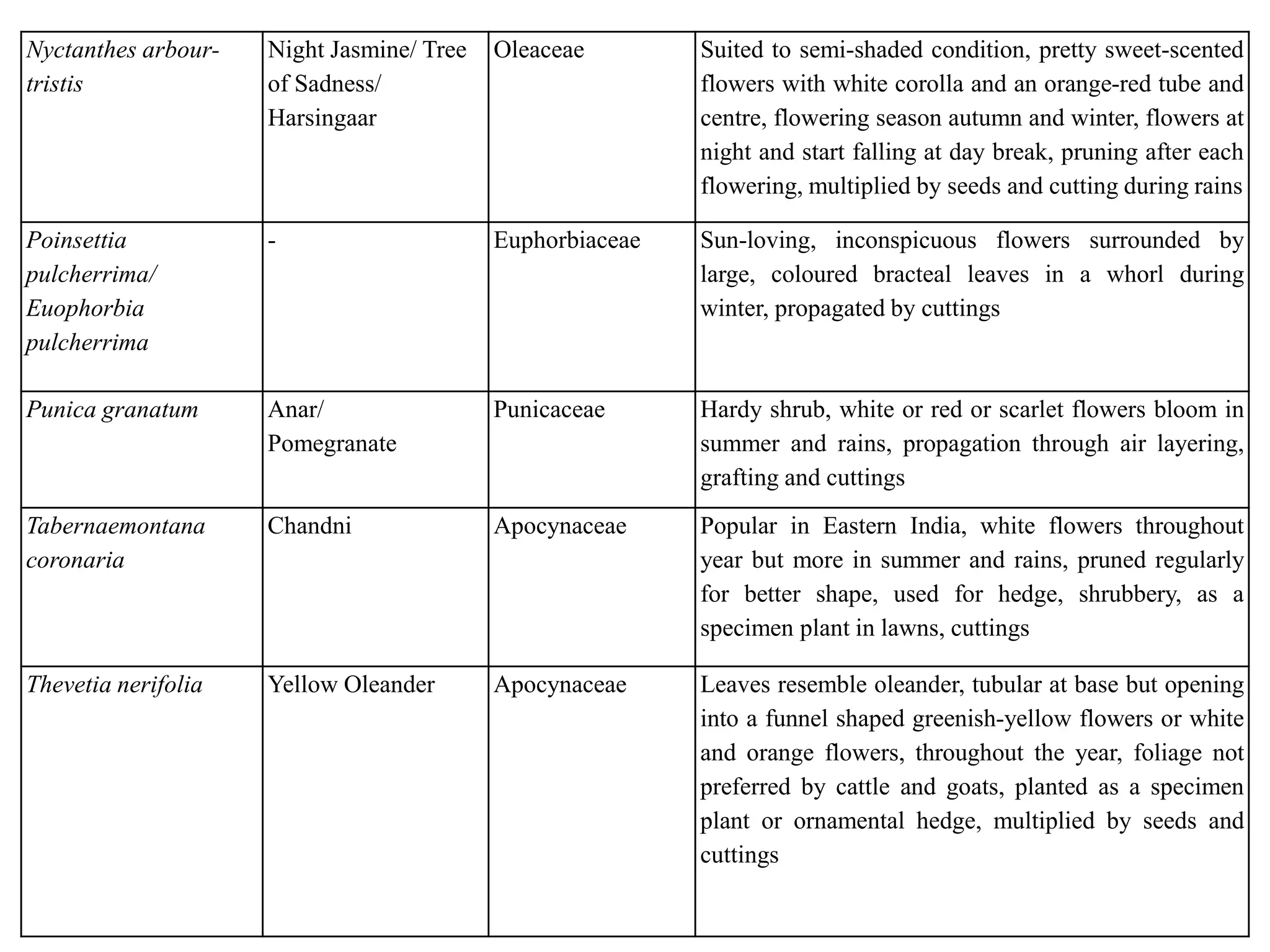Nyctanthes arbour-
tristis
Night Jasmine/ Tree
of Sadness/
Harsingaar
Oleaceae Suited to semi-shaded condition, pretty sweet-scented
flowers with white corolla and an orange-red tube and
centre, flowering season autumn and winter, flowers at
night and start falling at day break, pruning after each
flowering, multiplied by seeds and cutting during rains
Poinsettia
pulcherrima/
Euophorbia
pulcherrima
- Euphorbiaceae Sun-loving, inconspicuous flowers surrounded by
large, coloured bracteal leaves in a whorl during
winter, propagated by cuttings
Punica granatum Anar/
Pomegranate
Punicaceae Hardy shrub, white or red or scarlet flowers bloom in
summer and rains, propagation through air layering,
grafting and cuttings
Tabernaemontana
coronaria
Chandni Apocynaceae Popular in Eastern India, white flowers throughout
year but more in summer and rains, pruned regularly
for better shape, used for hedge, shrubbery, as a
specimen plant in lawns, cuttings
Thevetia nerifolia Yellow Oleander Apocynaceae Leaves resemble oleander, tubular at base but opening
into a funnel shaped greenish-yellow flowers or white
and orange flowers, throughout the year, foliage not
preferred by cattle and goats, planted as a specimen
plant or ornamental hedge, multiplied by seeds and
cuttings
 