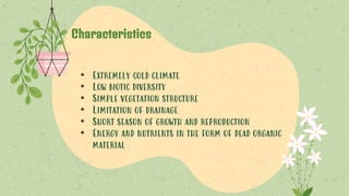 Characteristics
• Extremely cold climate
• Low biotic diversity
• Simple vegetation structure
• Limitation of drainage
• Short season of growth and reproduction
• Energy and nutrients in the form of dead organic
material
 