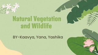 BY-Kaavya, Yana, Yashika
Natural Vegetation
and Wildlife
 