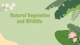 Natural Vegetation
and Wildlife
 