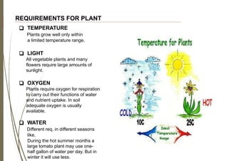 REQUIREMENTS FOR PLANT
❑ TEMPERATURE
Plants grow well only within
a limited temperature range.
❑ LIGHT
All vegetable plants and many
flowers require large amounts of
sunlight.
❑ OXYGEN
Plants require oxygen for respiration
to carry out their functions of water
and nutrient uptake. In soil
adequate oxygen is usually
available.
❑ WATER
Different req. in different seasons
like,
During the hot summer months a
large tomato plant may use one-
half gallon of water per day. But in
winter it will use less.
 