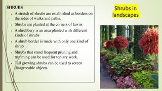 Shrubs in
landscapes
SHRUBS
 A stretch of shrubs are established as borders on
the sides of walks and paths.
 Shrubs are planted at the corners of lawns
 A shrubbery is an area planted with different
kinds of shrubs
 A shrub border is made with only one kind of
shrub
 Shrubs that stand frequent pruning and
trimming can be used for topiary work.
 Tall growing shrubs can be used to screen
disagreeable objects.
 