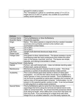 grouped to create a screen.
                   The “Tannenbaum” cultivar is a small tree variety 3.7 m (12‟) in
                   height and 2.0 m (6‟6”) in spread; very suitable as a prominent
                   solitary accent specimen.




Attribute          Response
Common Name        Thorny Buffaloberry or Silver Buffaloberry
Scientific Name    Shepherdia argentea
Origin             Native. This native species is original to the four western Canadian
                   provinces and is primarily common to the northern and
                   southwestern United States.
Height             2.6 m (8‟6”)
Spread             2.6 m (8‟6”)
Life Form          Upright multi-stemmed deciduous large shrub.
Flower Color       Yellow
Foliage Color      Grey-green to silver colored leaves. The leaves possess a scurfy
                   (overlapping scale like hairs) pubescence that creates this silver
                   color on the leaves, branches, and fruit. The leaves are simple,
                   opposite, and oblong to lanceolate in shape.
Flowering Period   Early Spring
Habitat            Full sun, very well drained soils – does not tolerate standing water.
                   Prefers loam, sandy soil texture.
Maintenance        Minimal pruning required; however tends to sucker. This shrub
                   produces a number of red attractive berries in late summer.
Availability       This is one of those good news stories in terms of native plant
                   propagation. It is one the few native shrubs that is available as a
                   native species in many commercial markets. Thorny Buffaloberry
                   can be found as expected at native plant suppliers and nurseries, as
                   well as many of the general plant nurseries. Unfortunately, it is not
                   present in the seasonal garden centers to date. It can be purchased
                   in both plug form or various sized containers.
Special Notes      Thorny Buffaloberry gets its name from the sharp pointed
                   appendage that forms along the terminal and lateral branch ends
                   called an armed branchlet. An armed branchlet possesses lateral
                   buds along its length, which differs from a true thorn that does not
                   have any buds. If you are looking for a large shrub with silver
                   foliage this is an excellent selection; one that easily replaces the
 
