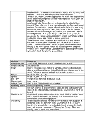 is palatable for human consumption and is sought after by many bird
                   species. The fruit is commonly used in jams and jellies.
                   The size of Golden Currant is appropriate for many yard applications
                   and is a relatively long lived species that will provide many years of
                   problem free growth.
                   An alternative to Golden Currant for those shadier sites is Alpine
                   Currant (Ribes alpinum); it is a non-native selection from central and
                   northern Europe that is drought tolerant and suitable to a wide array
                   of habitats, including shade. Also, this cultivar does not produce
                   fruit which is very advantageous to a xeriscape application. Alpine
                   Currant grows to 1.5 m (5‟) in height and 1.8 m (6‟) in spread. It
                   possesses the typical currant/gooseberry “maple leaf” shape and is
                   well suited for use as a hedge or accent specimen.
                   You will notice when you attend your local plant nursery that two
                   common names appear associated with the same genera called
                   Ribes. The common name “Currant” is given to those shrubs that
                   belong to the Ribes genus that do not possess prickles or spines;
                   whereas those referred to as Gooseberries do possess prickles and
                   spines but also belong to the genus Ribes.




Attribute          Response
Common Name        Skunkbrush, Lemonade Sumac or Three-lobed Sumac
Scientific Name    Rhus trilobata
Origin             Native. This species is native to Canada and is found in southern
                   Alberta and Saskatchewan. In the United States it is common to the
                   Great Plains and western states from the north to south.
Height             90 cm - 1.5 m (36” - 5‟)
Spread             90 cm - 1.5 m (36” – 5‟)
Life Form          Upright multi-stemmed deciduous shrub.
Flower Color       Pale yellow
Foliage Color      Dark green; Trifoliate compound leaves.
Flowering Period   Late spring to early summer
Habitat            Full sun; tolerant to a variety of soil types, so long as they are well
                   drained; it is intolerant to water laden soils. Skunkbrush is hardy to
                   Zone 3
Maintenance        Skunkbrush is a very low maintenance plant; this is a medium sized
                   shrub that should not require pruning. It is extremely drought
                   tolerant and self-sustaining species.
Availability       This selection is offered more frequently at native plant suppliers &
                   nurseries under the common name Skunkbrush. It is not always
                   found in the general plant nurseries but when it is located typically
                   goes by the name Lemonade or Three-lobed Sumac. They are
                   usually found in small sized containers.
 