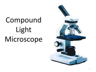 Compound 
Light 
Microscope 
1 
 