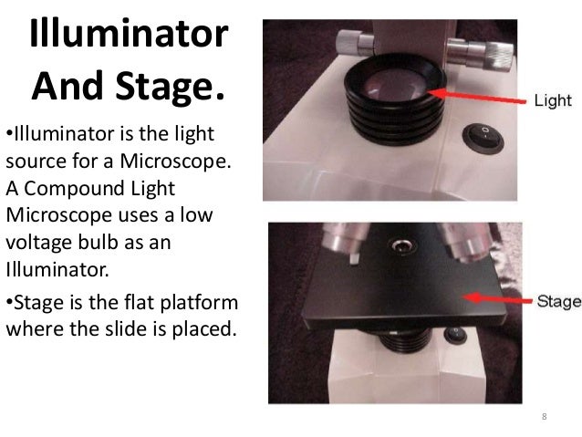 Compound Microscope Basic