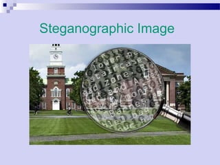 Steganographic Image
 