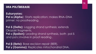 DNA replication in eukaryotes 2010125120.pptx