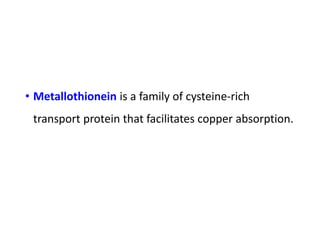 • Metallothionein is a family of cysteine-rich
transport protein that facilitates copper absorption.
 