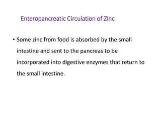 Enteropancreatic Circulation of Zinc
• Some zinc from food is absorbed by the small
intestine and sent to the pancreas to be
incorporated into digestive enzymes that return to
the small intestine.
 