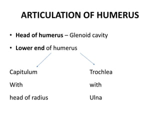 ARTICULATION OF HUMERUS
• Head of humerus – Glenoid cavity
• Lower end of humerus
Capitulum Trochlea
With with
head of radius Ulna
 