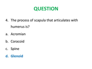 QUESTION
4. The process of scapula that articulates with
humerus is?
a. Acromian
b. Coracoid
c. Spine
d. Glenoid
 
