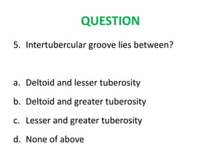 QUESTION
5. Intertubercular groove lies between?
a. Deltoid and lesser tuberosity
b. Deltoid and greater tuberosity
c. Lesser and greater tuberosity
d. None of above
 