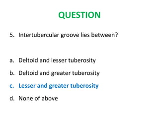 QUESTION
5. Intertubercular groove lies between?
a. Deltoid and lesser tuberosity
b. Deltoid and greater tuberosity
c. Lesser and greater tuberosity
d. None of above
 