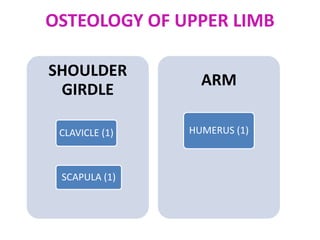 OSTEOLOGY OF UPPER LIMB
SHOULDER
GIRDLE
CLAVICLE (1)
SCAPULA (1)
ARM
HUMERUS (1)
 