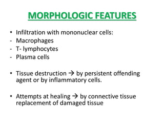 MORPHOLOGIC FEATURES
• Infiltration with mononuclear cells:
- Macrophages
- T- lymphocytes
- Plasma cells
• Tissue destruction  by persistent offending
agent or by inflammatory cells.
• Attempts at healing  by connective tissue
replacement of damaged tissue
 