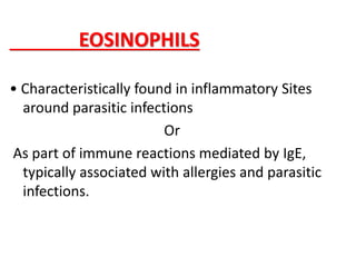 EOSINOPHILS
• Characteristically found in inflammatory Sites
around parasitic infections
Or
As part of immune reactions mediated by IgE,
typically associated with allergies and parasitic
infections.
 