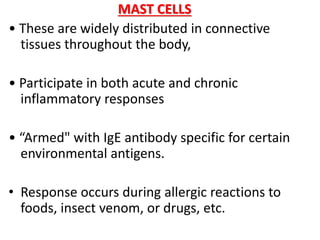 MAST CELLS
• These are widely distributed in connective
tissues throughout the body,
• Participate in both acute and chronic
inflammatory responses
• “Armed" with IgE antibody specific for certain
environmental antigens.
• Response occurs during allergic reactions to
foods, insect venom, or drugs, etc.
 