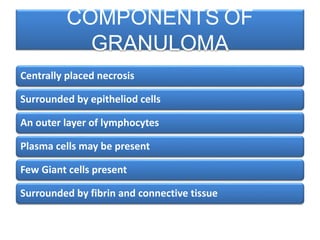 Centrally placed necrosis
Surrounded by epitheliod cells
An outer layer of lymphocytes
Plasma cells may be present
Few Giant cells present
Surrounded by fibrin and connective tissue
COMPONENTS OF
GRANULOMA
 