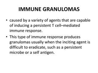 IMMUNE GRANULOMAS
• caused by a variety of agents that are capable
of inducing a persistent T cell–mediated
immune response.
• This type of immune response produces
granulomas usually when the inciting agent is
difficult to eradicate, such as a persistent
microbe or a self antigen.
 