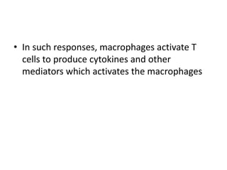 • In such responses, macrophages activate T
cells to produce cytokines and other
mediators which activates the macrophages
 