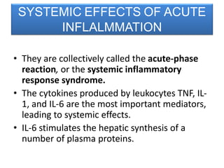 • They are collectively called the acute-phase
reaction, or the systemic inflammatory
response syndrome.
• The cytokines produced by leukocytes TNF, IL-
1, and IL-6 are the most important mediators,
leading to systemic effects.
• IL-6 stimulates the hepatic synthesis of a
number of plasma proteins.
SYSTEMIC EFFECTS OF ACUTE
INFLALMMATION
 