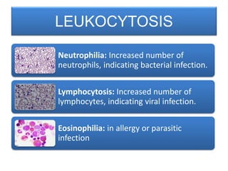 Neutrophilia: Increased number of
neutrophils, indicating bacterial infection.
Lymphocytosis: Increased number of
lymphocytes, indicating viral infection.
Eosinophilia: in allergy or parasitic
infection
LEUKOCYTOSIS
 