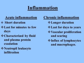 SHS.301.Lect-07.pptx