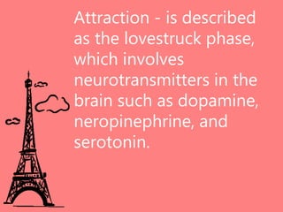 Attraction - is described
as the lovestruck phase,
which involves
neurotransmitters in the
brain such as dopamine,
neropinephrine, and
serotonin.
 