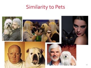Similarity to Pets
33
 