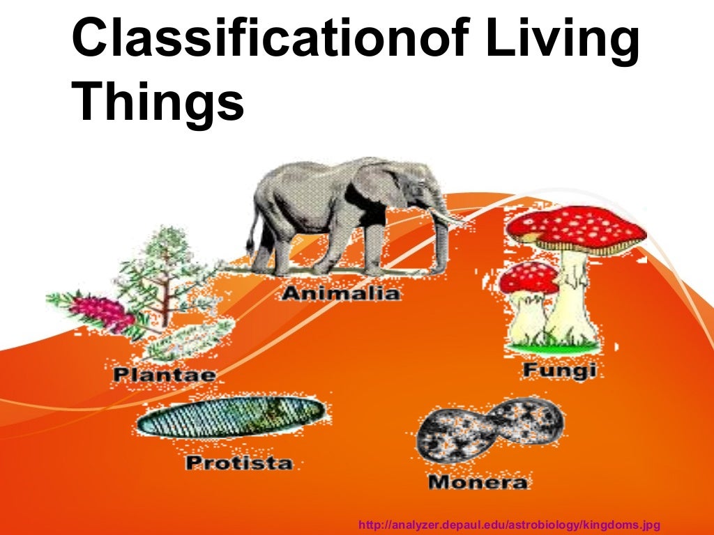 how can you determine evolutionary relationships