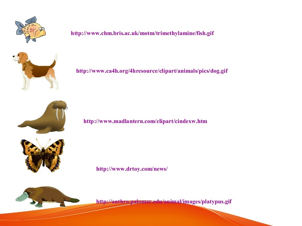 how do you determine evolutionary relationships