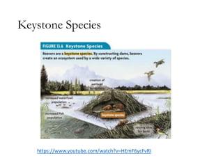 Keystone Species
https://www.youtube.com/watch?v=HEmF6ycFvRI
 