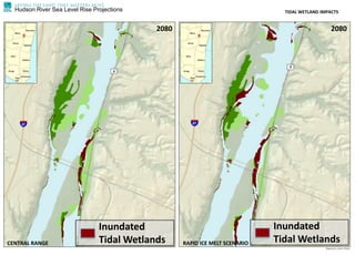 Hudson River Sea Level Rise Projections TIDAL WETLAND IMPACTS
CENTRAL RANGE RAPID ICE MELT SCENARIO
2080 2080
Inundated
Tidal Wetlands
Inundated
Tidal Wetlands
 