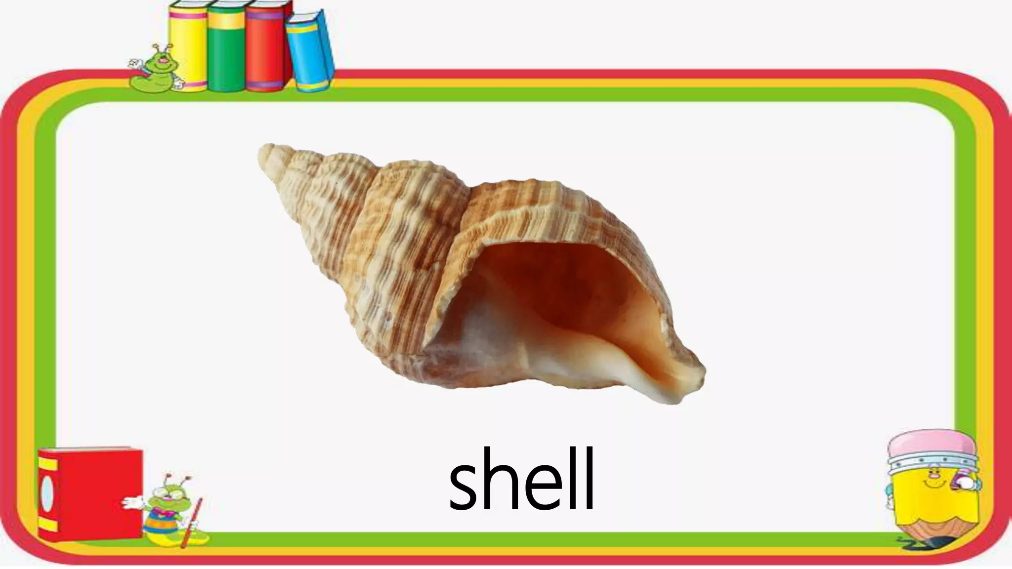 shell