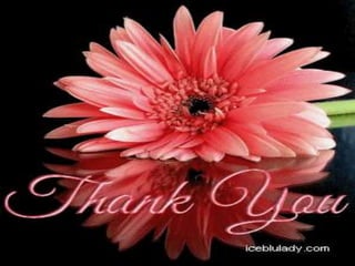 SCHOOL HEALTH SERVICES