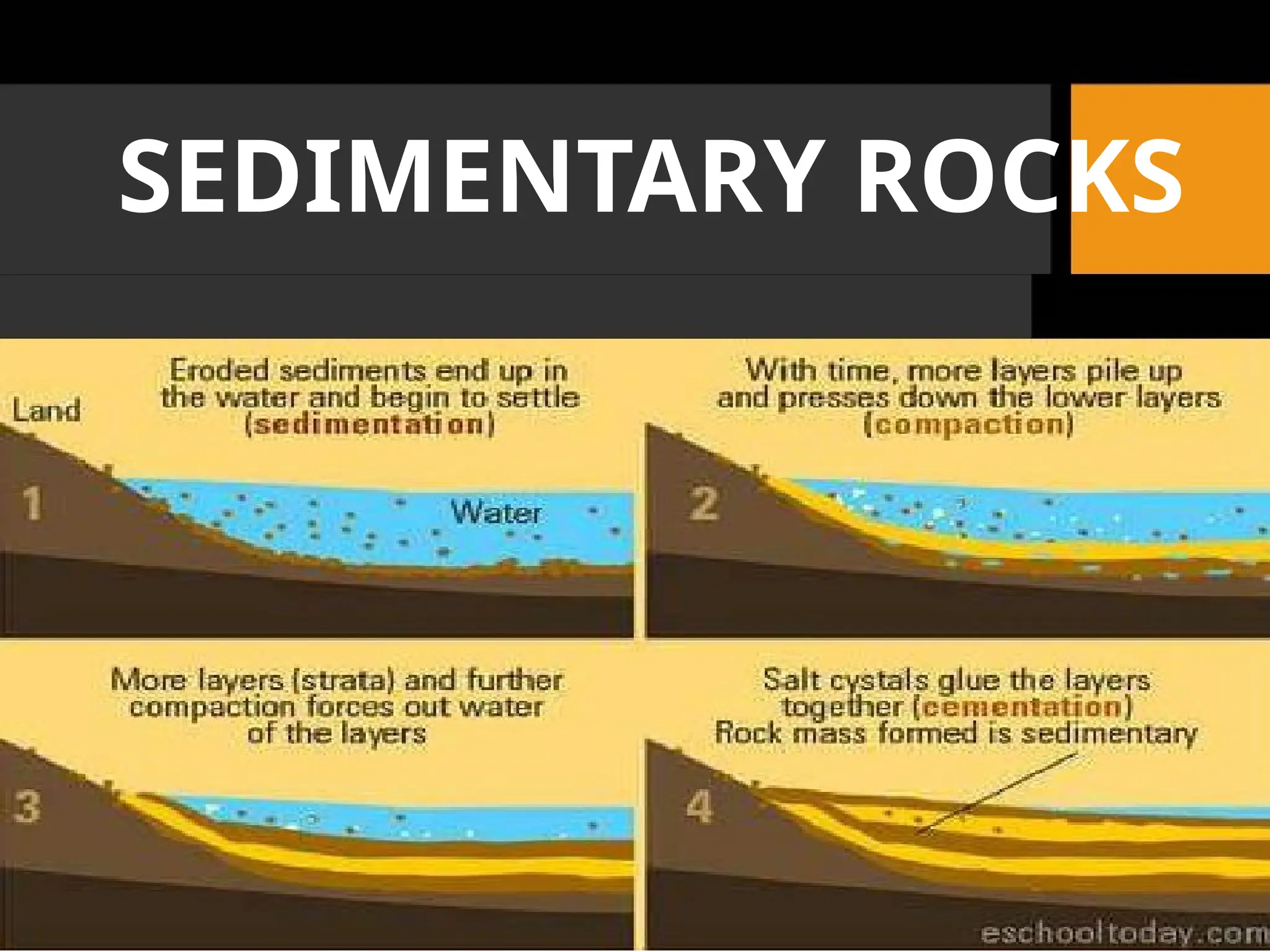 SEDIMENTARY ROCKS
 