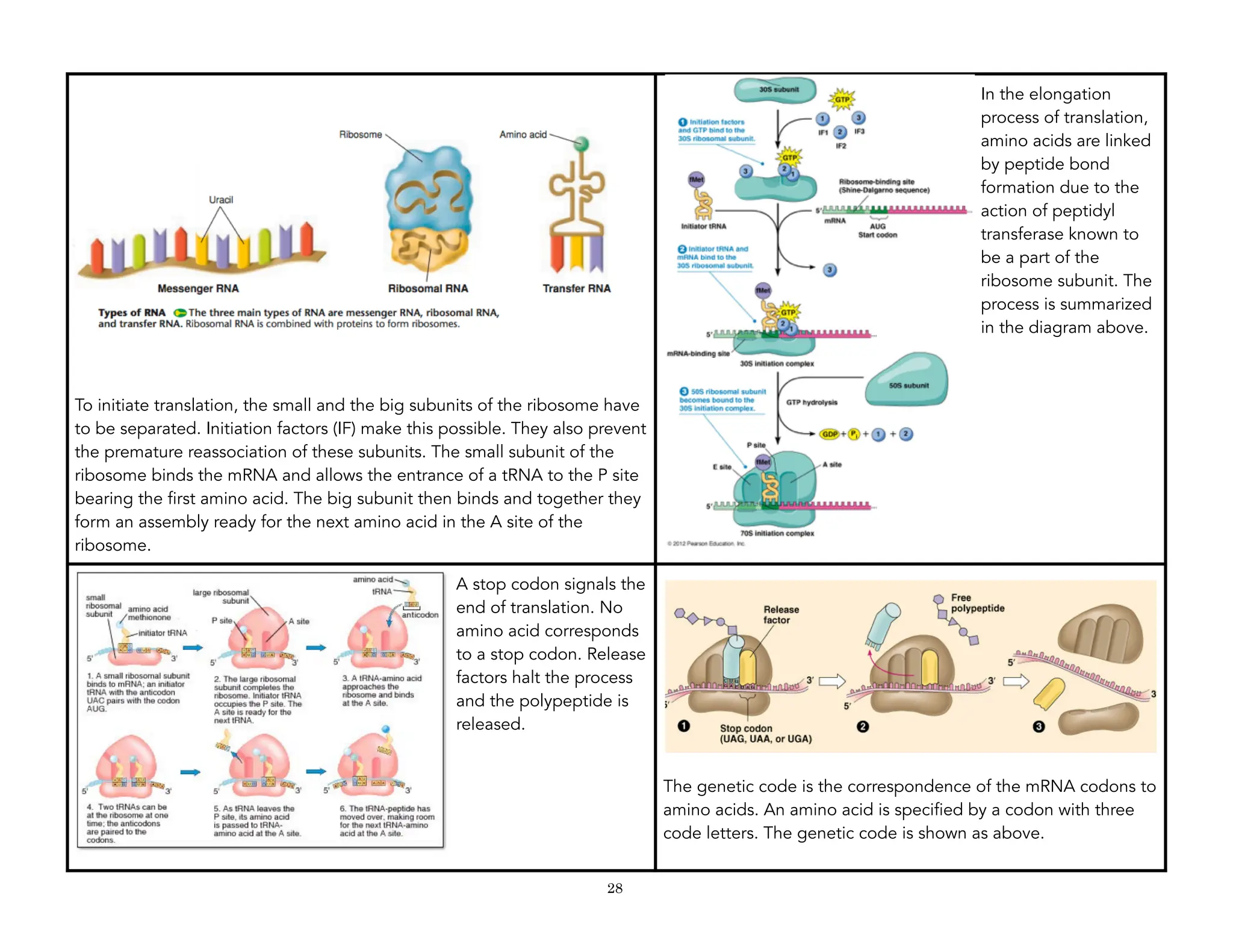 SHS Techer's Guide - General Biology 2.pdf