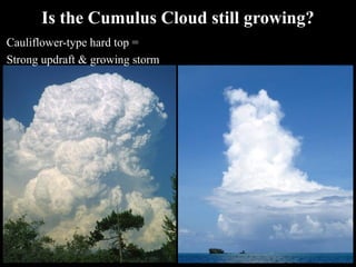 Strong Updraft SHS THUNDERSTORM 1112eyye eye yutyi564747764747442414414141441.ppt